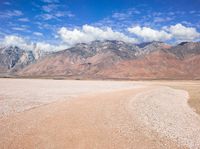 a lone cow walks in the desert with mountains in the background area of a dry landscape