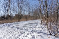 Off-Road Adventure in the Nature of Canada