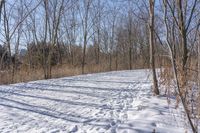 Off-Road Adventure in the Nature of Canada