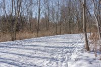 Off-Road Adventure in the Nature of Canada