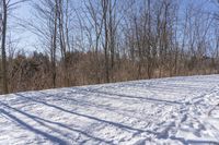 Off-Road Adventure in the Nature of Canada