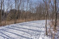 Off-Road Adventure in the Nature of Canada