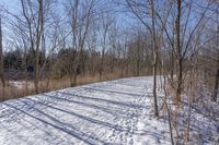 Off-Road Adventure in the Nature of Canada