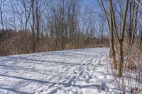 Off-Road Adventure in the Nature of Canada