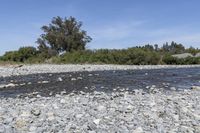 Off-Road Adventure in New Zealand: Exploring the Beautiful Landscape