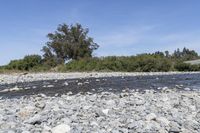 Off-Road Adventure in New Zealand: Exploring the Beautiful Landscape