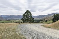 a dirt road leading to a mountain range in the distance, with trees in the distance