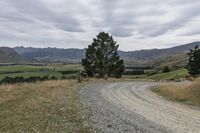 a dirt road leading to a mountain range in the distance, with trees in the distance