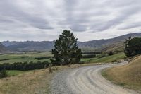 a dirt road leading to a mountain range in the distance, with trees in the distance