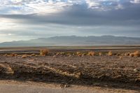 a man riding on the back of a green horse down a dirt road at dusk