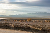 a man riding on the back of a green horse down a dirt road at dusk