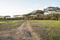 a view of a wide field that is being used as a road or walking track