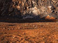 the dirt and rock is brown as it's being ridden by a person in red