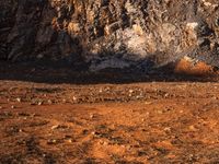 the dirt and rock is brown as it's being ridden by a person in red