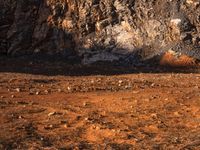 the dirt and rock is brown as it's being ridden by a person in red