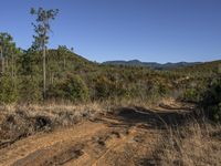 Off Road Adventure in Shangri-La Wilderness