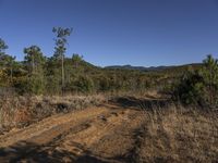 Off Road Adventure in Shangri-La Wilderness