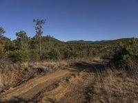 Off Road Adventure in Shangri-La Wilderness