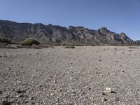 Off-Road Adventure in Tenerife's Desert Landscape