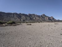 Off-Road Adventure in Tenerife's Desert Landscape