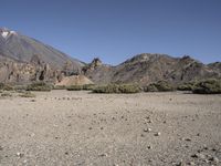 Off-Road Adventure in Tenerife, Europe