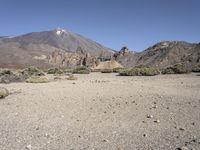 Off-Road Adventure in Tenerife, Europe