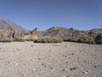 Off-Road Adventure in Tenerife, Europe