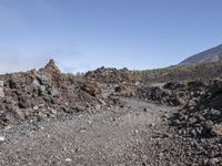 Off-Road Adventure in Tenerife: Exploring the Wilderness