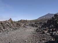 Off-Road Adventure in Tenerife: Exploring the Wilderness