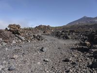 Off-Road Adventure in Tenerife: Exploring the Wilderness