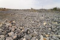 Off-Road Adventure in Tennessee: Following the Tracks of Johnson City