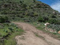 Off-Road Adventure in the USA: Mountain Landscape