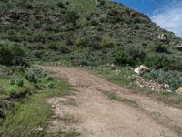 Off-Road Adventure in the USA: Mountain Landscape