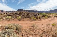 a dirt road leads through a desert with rocky cliffs in the background and shrubs in front