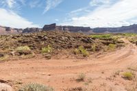 a dirt road leads through a desert with rocky cliffs in the background and shrubs in front