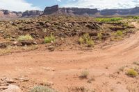 a dirt road leads through a desert with rocky cliffs in the background and shrubs in front