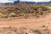 a dirt road leads through a desert with rocky cliffs in the background and shrubs in front