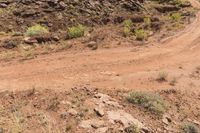 a dirt road leads through a desert with rocky cliffs in the background and shrubs in front