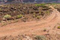 a dirt road leads through a desert with rocky cliffs in the background and shrubs in front