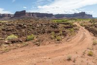 a dirt road leads through a desert with rocky cliffs in the background and shrubs in front