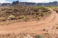 a dirt road leads through a desert with rocky cliffs in the background and shrubs in front