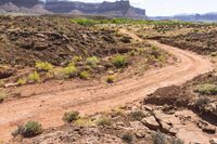 a dirt road leads through a desert with rocky cliffs in the background and shrubs in front