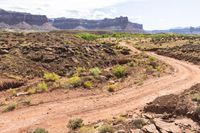 a dirt road leads through a desert with rocky cliffs in the background and shrubs in front