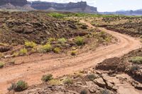 a dirt road leads through a desert with rocky cliffs in the background and shrubs in front