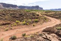 a dirt road leads through a desert with rocky cliffs in the background and shrubs in front