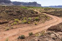 a dirt road leads through a desert with rocky cliffs in the background and shrubs in front