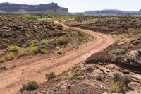 a dirt road leads through a desert with rocky cliffs in the background and shrubs in front