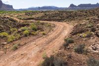 a dirt road leads through a desert with rocky cliffs in the background and shrubs in front