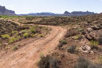 a dirt road leads through a desert with rocky cliffs in the background and shrubs in front