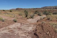 a dirt road through an arid area with a clear blue sky in the background and a rocky hill on each side